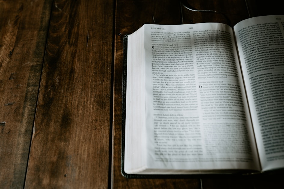 Daily Scripture Examination